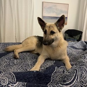 Meet your Posher, Em